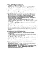 Transporto politikos paruoštukė 5 puslapis