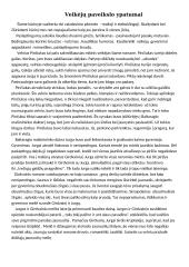  Veikėjų paveikslo ypatumai
