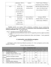 Struktūrinių padalinių ekonomika 11 puslapis