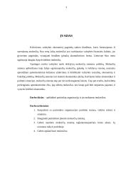 Mokesčių teisinis reglamentavimas 3 puslapis