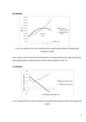 Mikroekonomikos namu darbas (Paklausa, elastingumas, t.t.) 6 puslapis