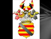 Emilija Pliaterytė ir Tadas Kosciuška 11 puslapis