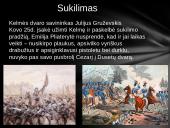 Emilija Pliaterytė ir Tadas Kosciuška 12 puslapis