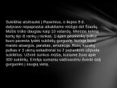 Emilija Pliaterytė ir Tadas Kosciuška 17 puslapis