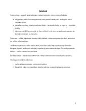 Vadovavimo viešojo administravimo institucijoms specifika 3 puslapis