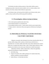 Vadovavimo viešojo administravimo institucijoms specifika 6 puslapis