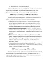 Vadovavimo viešojo administravimo institucijoms specifika 7 puslapis