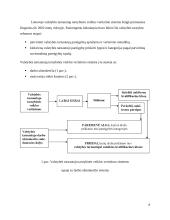 Vadovavimo viešojo administravimo institucijoms specifika 8 puslapis