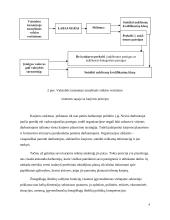 Vadovavimo viešojo administravimo institucijoms specifika 9 puslapis