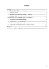 Priešgaisrinis rėžimas 2 puslapis