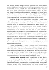 Priešgaisrinis rėžimas 12 puslapis