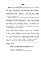 Priešgaisrinis rėžimas 3 puslapis