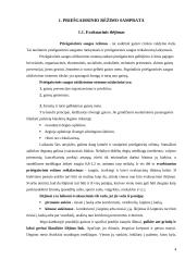 Priešgaisrinis rėžimas 4 puslapis