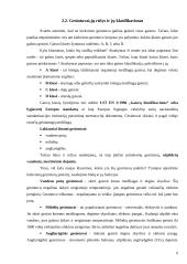 Priešgaisrinis rėžimas 9 puslapis