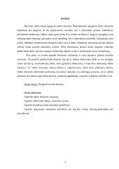 Darbo drausmė 3 puslapis