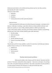 Darbo drausmė 5 puslapis