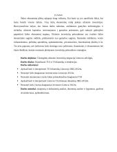 Tiesioginių užsienio investicijų migracija Lietuvos atžvilgiu 2 puslapis