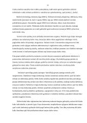 Nedarbo priežastys Lietuvoje 13 puslapis