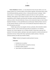 Nedarbo priežastys Lietuvoje 3 puslapis