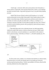 Nedarbo priežastys Lietuvoje 5 puslapis