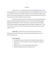 Kaimo turizmo sodybų skaičiaus analizė ir prognozė 3 puslapis