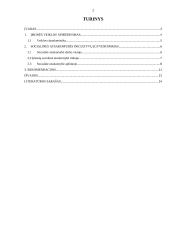 AB „Lietuvos geležinkeliai“ socialinė atsakomybė 2 puslapis