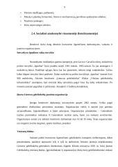 AB „Lietuvos geležinkeliai“ socialinė atsakomybė 9 puslapis