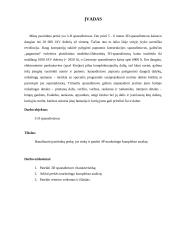 3D spausdintuvo marketingo komplekso analizė 3 puslapis
