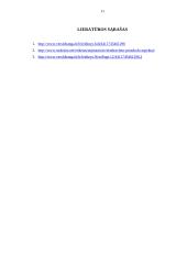 Svečių iš Kinijos priėmimo organizavimas 11 puslapis