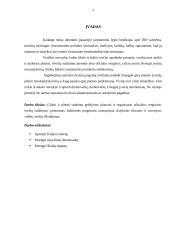 Svečių iš Kinijos priėmimo organizavimas 3 puslapis