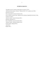 Svečių iš Kinijos priėmimo organizavimas 9 puslapis