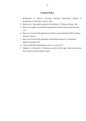 Nedarbas Lietuvoje. Vadybos savarankiškas darbas 13 puslapis