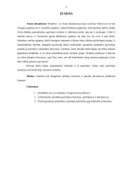 Nedarbas Lietuvoje. Vadybos savarankiškas darbas 3 puslapis