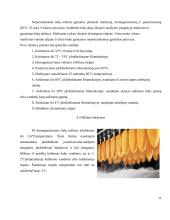 Valgomieji ledai 11 puslapis