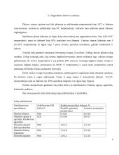 Valgomieji ledai 6 puslapis