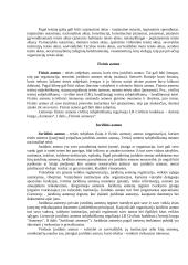 Teises samprata rašto darbas 3 puslapis