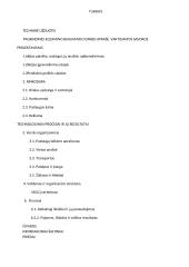 Dekoravimo paslaugos verslo planas 2 puslapis