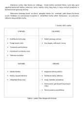 Dekoravimo paslaugos verslo planas 12 puslapis