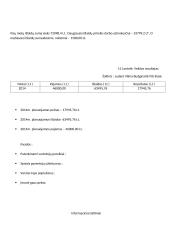 Dekoravimo paslaugos verslo planas 16 puslapis