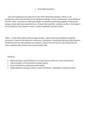 Dekoravimo paslaugos verslo planas 3 puslapis