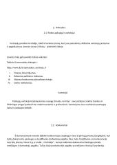 Dekoravimo paslaugos verslo planas 4 puslapis