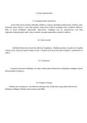 Dekoravimo paslaugos verslo planas 8 puslapis