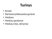 Stuburiniai gyvūnai: koralai ir medūzos 2 puslapis