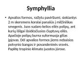 Stuburiniai gyvūnai: koralai ir medūzos 12 puslapis