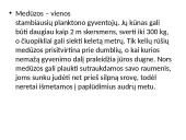 Stuburiniai gyvūnai: koralai ir medūzos 19 puslapis