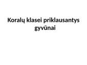 Stuburiniai gyvūnai: koralai ir medūzos 5 puslapis