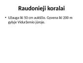 Stuburiniai gyvūnai: koralai ir medūzos 10 puslapis