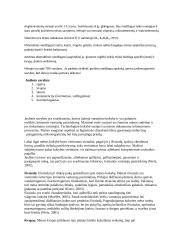 Mėsos technologinio proceso analizė 5 puslapis