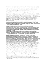 Mėsos technologinio proceso analizė 6 puslapis