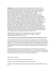 Mėsos technologinio proceso analizė 7 puslapis